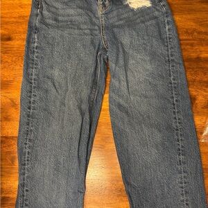 American Eagle Outfitters Relaxed Blue Jeans